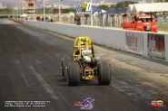 Foto (300)