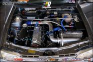 Foto (493)