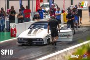 Foto (288)