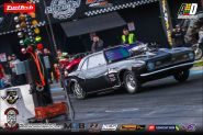 Foto (431)