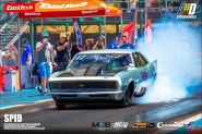 Foto (668)