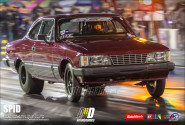 Foto (487)